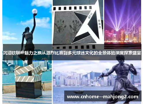 沉浸欧联杯魅力之旅从激烈比赛到多元球迷文化的全景体验深度探索盛宴